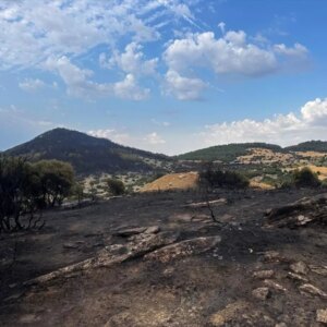 kesanda orman yangini incelemesi K6UZxgGe