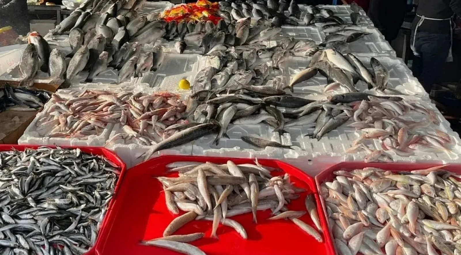 fiyati dusunce talep artti QOWEFQTh