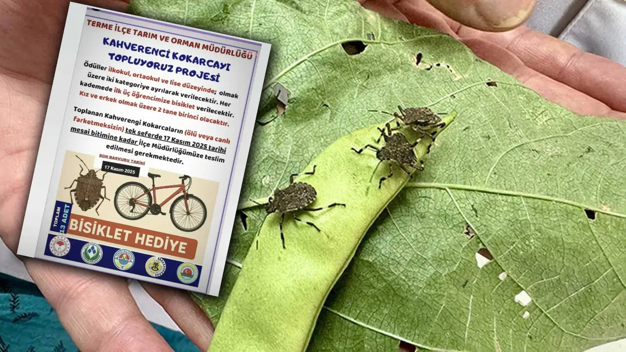 kokarca toplama projesine chpden tepki bilimle mucadele edecegimize cocuklari kullaniyoruz yjm7WWTr.jpg