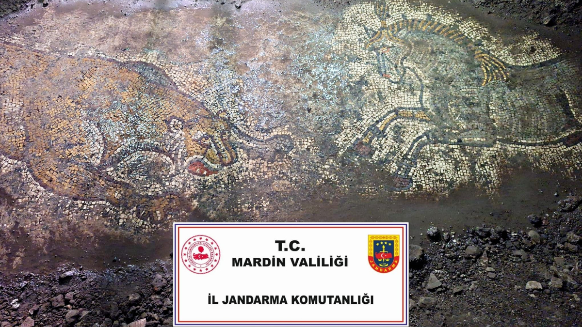 mardinde 1500 yillik mozaik kacakcilarin eline gecmeden kurtarildi Vas7PIUJ.jpg