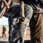 boko-haram-nijeryada-okulu-basti-ogrenciler-kacirildi-UFvgA4KY