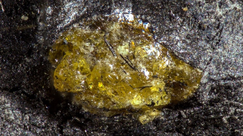 Amber 1 hycp